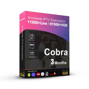 3 Months Cobra Stable Server M3U Arabic Europe IPTV Smarters Smart IPTV Code